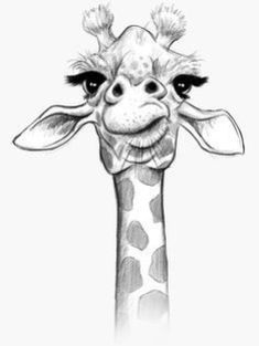 a black and white drawing of a giraffe's head