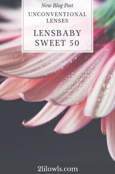 a pink flower with the words, new blog post unconventional lenses lens baby sweet 50