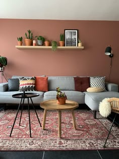 a living room filled with furniture and potted plants on top of a shelf next to a rug