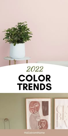 a pink wall with the words color trend in black and white on it next to a potted plant