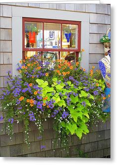 a window box filled with flowers next to a building