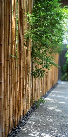 the bamboo fence is lined with stones and plants