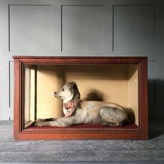 a dog is sitting in a wooden box