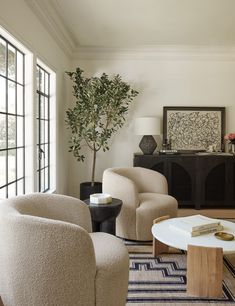 a living room filled with furniture and a potted plant on top of a table