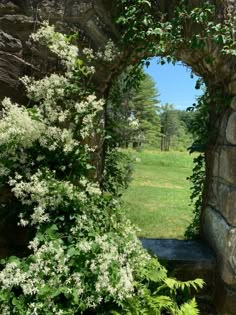 an arch in the middle of a grassy field