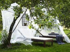 a birdcage hanging from a tree next to a bed in the middle of some grass