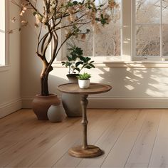 two potted plants sit next to each other on a table in front of a window