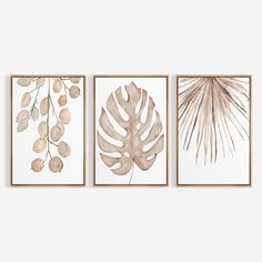 three framed art prints with leaves and branches in neutral tones on white wall above them