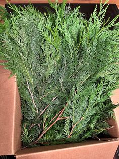 a box filled with green plants on top of a wooden table