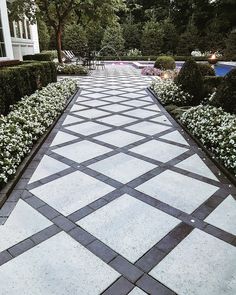 the walkway is lined with white flowers and bushes