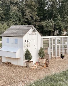 a chicken coop with chickens in the yard