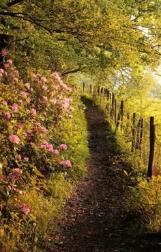 a path that is surrounded by trees and flowers on both sides of the trail, leading to a wooden fence