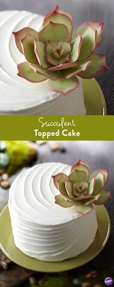 two pictures of a cake with white frosting and green leaves on top, one has a succulent topped cake