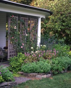 the garden is full of flowers and plants in front of a shed with an open door