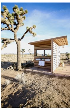 a small cabin in the desert with a tree