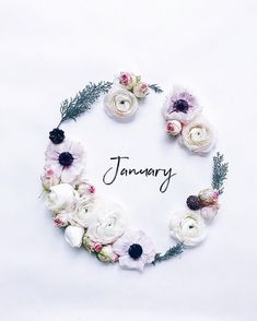 the word january is surrounded by white and pink flowers