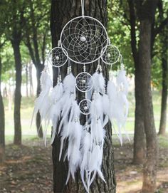 a white dream catcher hanging from a tree