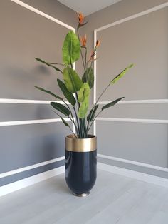 a plant in a black vase on a white floor