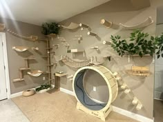 a room filled with lots of shelves and plants on top of the wall next to a door