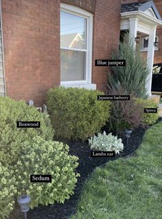 the different types of shrubs in front of a brick house with names on them and labeled