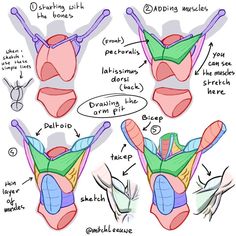 the diagram shows how to make an origami mask