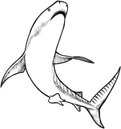 a drawing of a shark with its mouth open