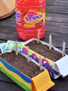 there is a potted plant with clothes pins in it and a bottle of tampicc