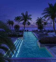 an outdoor swimming pool at night with palm trees and the ocean in the back ground