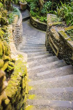 stone steps lead up to the top of a garden with moss growing on them and trees in the background