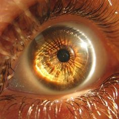 an extreme close up view of the iris of a person's eye