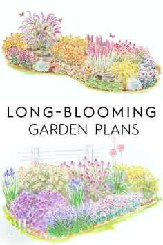 long - blooming garden plans with colorful flowers and plants