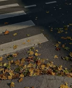 leaves on the ground next to a crosswalk with an umbrella in the middle of it