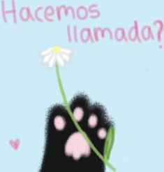 a cat paw holding a flower with the words hacemos llamada?