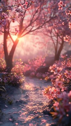 the sun shines brightly through pink flowers on trees in an area with dirt and grass