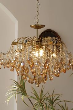 a chandelier hanging from the ceiling next to a potted plant