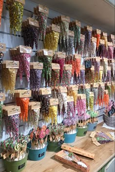 many different types of candies are on display