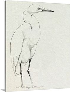 a drawing of a white bird with long legs