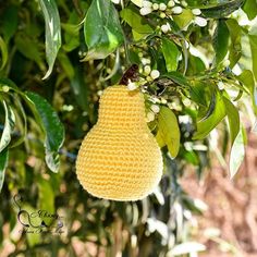 a fruit hanging from a tree with leaves