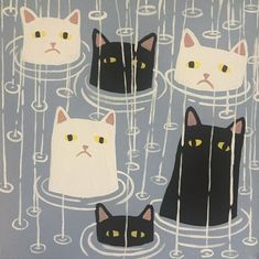 four black and white cats with yellow eyes