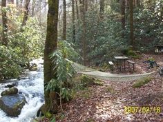 there is a hammock in the woods next to a stream and picnic tables