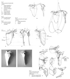 some drawings and instructions for how to use them