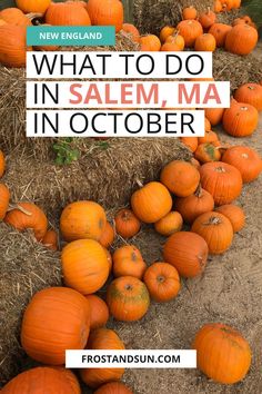 pumpkins and hay with the words what to do in salem ma in october