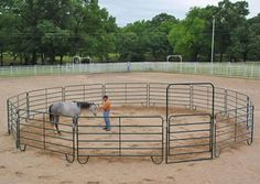 a man standing next to a horse inside of a fenced in pen on top of a dirt field