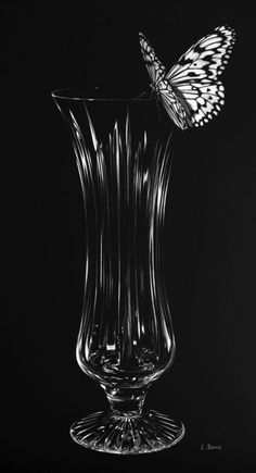 a black and white photo of a butterfly in a glass vase on a dark background