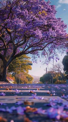 purple flowers are on the ground in front of a large tree with leaves scattered all over it