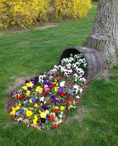 an old barrel is used as a flower bed for the flowers in the garden, and it's next to a tree