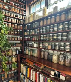 shelves filled with lots of different kinds of jars