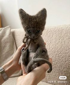 a person holding a stuffed animal in their hand on a couch with the cat's head wrapped around it