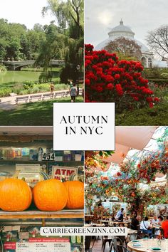 an image of autumn in nyc collage with orange pumpkins and people sitting at tables