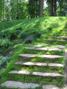 stone steps lead up the side of a grassy hill